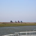 IMG_1879209