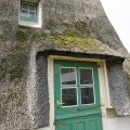 IMG_1879227