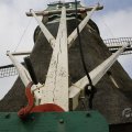 IMG_1879229