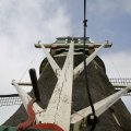 IMG_1879231