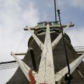 IMG_1879234