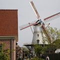 IMG_1879238