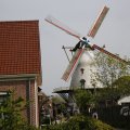 IMG_1879243