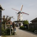 IMG_1879249