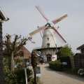 IMG_1879251