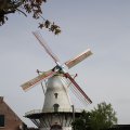 IMG_1879254