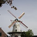 IMG_1879255
