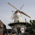 IMG_1879259