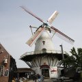 IMG_1879261