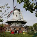 IMG_1879264
