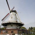 IMG_1879266