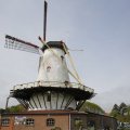IMG_1879267