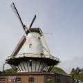IMG_1879269