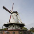 IMG_1879271