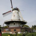IMG_1879272