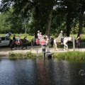 IMG_1882080