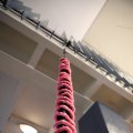 IMG_1882942