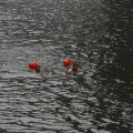 IMG_1888411
