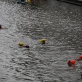 IMG_1888413