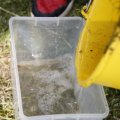 IMG_1889504