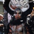 IMG_1894118