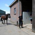 IMG_1894943