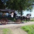 IMG_1895437