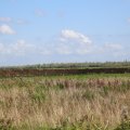 IMG_1895457