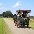 IMG_1895471