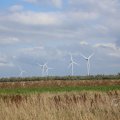 IMG_1895814
