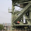 IMG_1901239