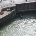 IMG_1901268