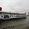 _MG_1901311