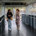_MG_1901315