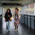 _MG_1901316