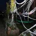 IMG_1902706