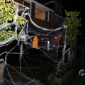IMG_1902708
