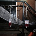 IMG_1902739