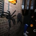 IMG_1902776