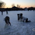 IMG_1901506