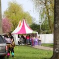 IMG_1907312