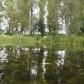 IMG_1928021