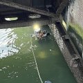 IMG_1940157