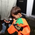 IMG_1949426