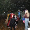 IMG_1949529