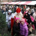 IMG_1956451