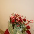 IMG_1969554