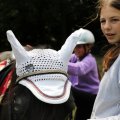 IMG_1988049