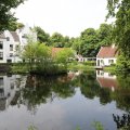 IMG_1988095