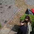 IMG_1988144